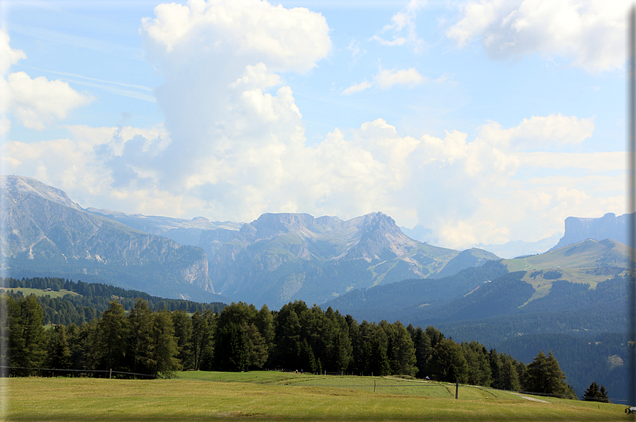 foto Alpe di Siusi